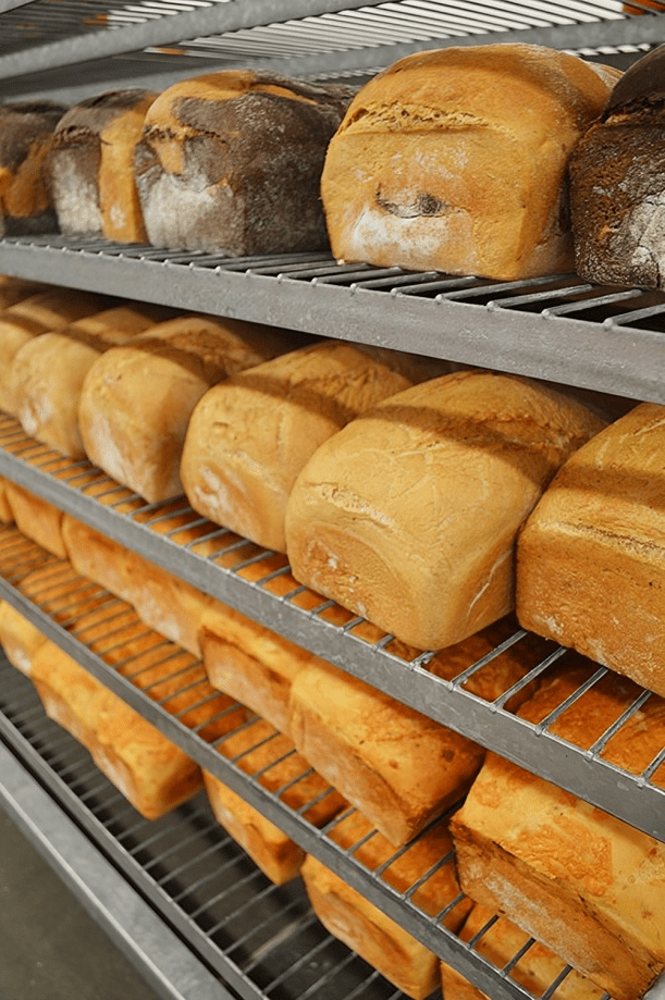 Variety of bread loaves in bakery